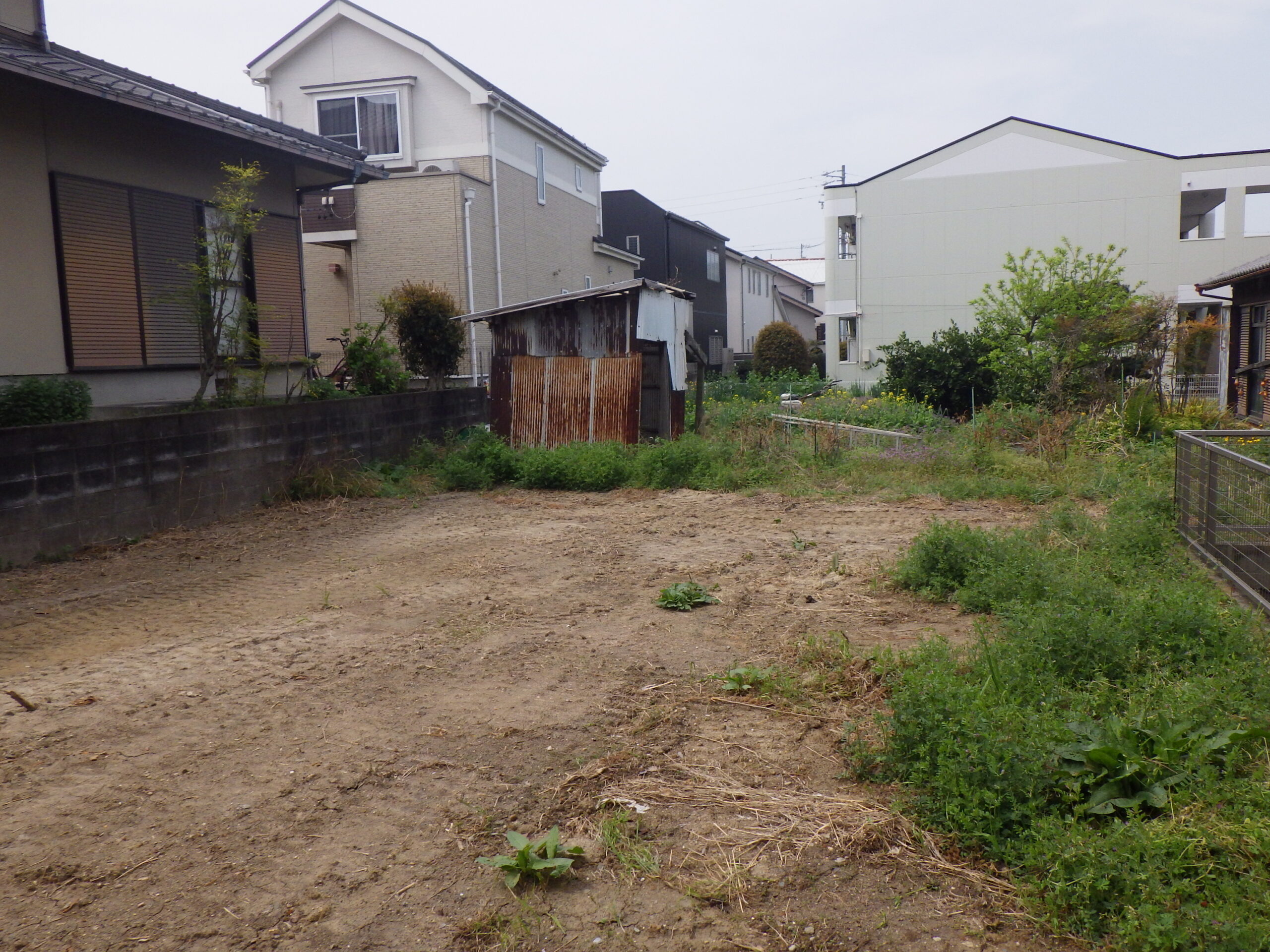 moronoki3-1406-photoE